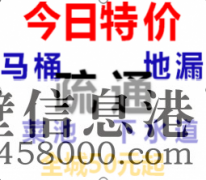 【專業(yè)疏通】低價(jià)馬桶疏通、下水道疏通、蹲便、衛(wèi)生間有異味、換