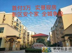 首付3萬，新區(qū)安個(gè)家